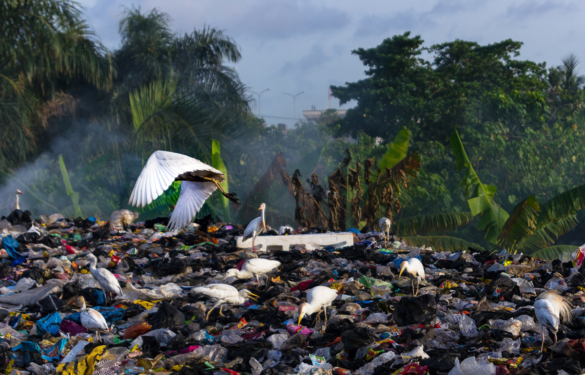 Waste landfill in forest